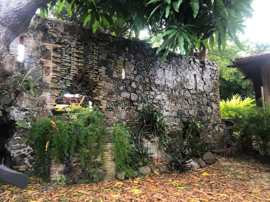 Mid-Century: Caribbean Style Διαμέρισμα Contant  Εξωτερικό φωτογραφία