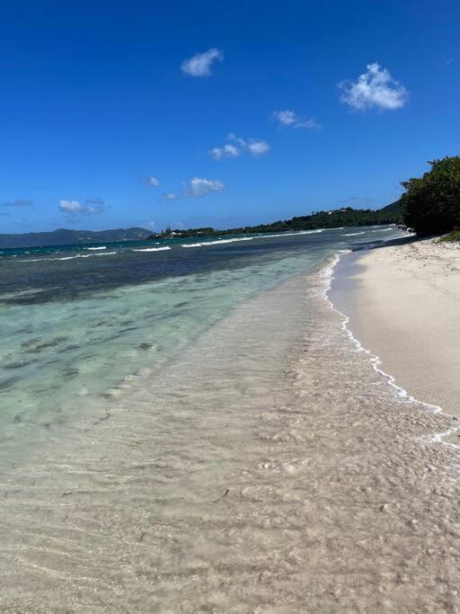 Mid-Century: Caribbean Style Διαμέρισμα Contant  Εξωτερικό φωτογραφία