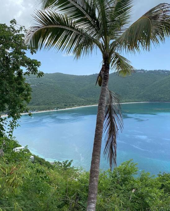 Mid-Century: Caribbean Style Διαμέρισμα Contant  Εξωτερικό φωτογραφία